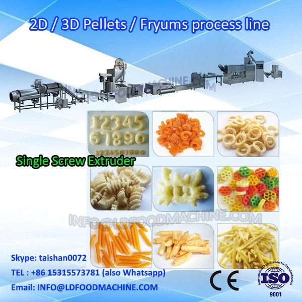 2D Pellet Snacks Food Processing Line/Fried Snack Extruder/China Made 3D Snack Production machinery #1 image
