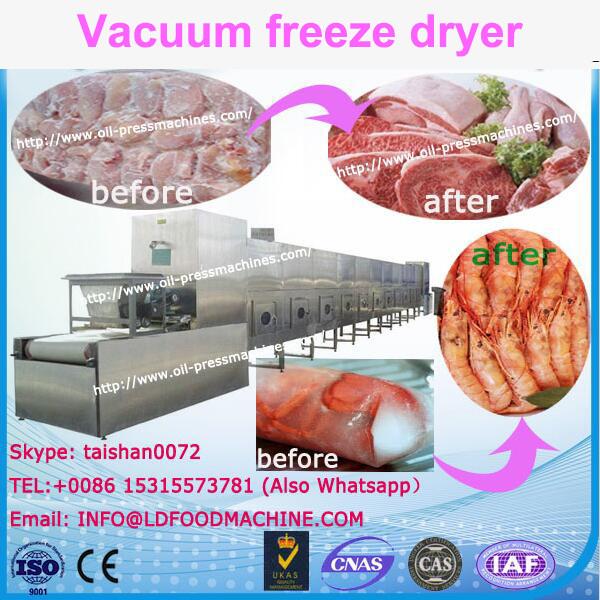 100kg 200kg per batch freeze dryer machinery , 10 sqm 20 sqm 30sqm 50sqm freeze drying equipment prices #1 image